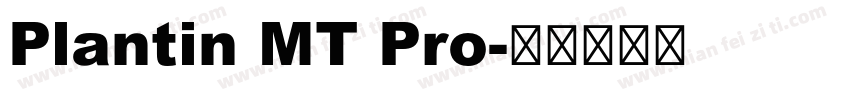 Plantin MT Pro字体转换